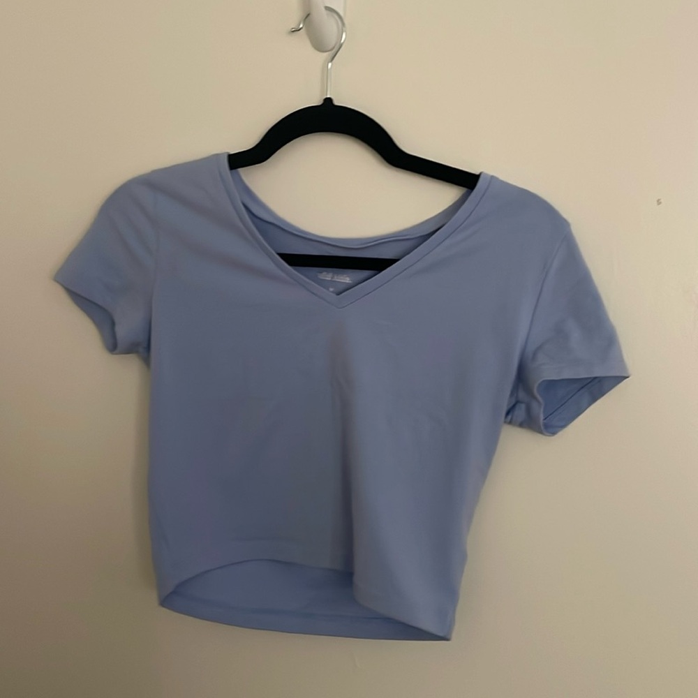 Wild Fable Crop Top